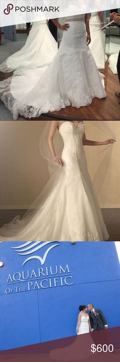 Michael Angelo Wedding Dresses Awesome 73 Best Alfred Angelo Wedding Dresses Images