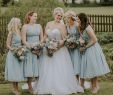 Midi Dresses for Wedding Best Of Ice Blue Chiffon Beach Bridesmaid Dresses Tea Length Wedding