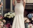 Mikella Wedding Dresses Lovely Pin by Christina Barnes On Wedding Dresses