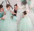 Mint Dresses for Wedding Inspirational Lovely Mint Tulle Ball Gown Flower Girl Dresses for Weddings