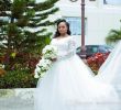 Nigerian Wedding Dresses for Sale Luxury Discount Plus Size Wedding Dresses with Long Sleeves 2019 Modest African Nigeria V Neck Lace Puffy Skirt Church Garden Bridal Gowns Lace Wedding