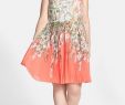 Nordstrom Dresses for Wedding Guests Best Of Adrianna Papell Floral Print Pleat Chiffon Fit & Flare Dress