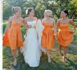 Orange and White Wedding Dress Luxury orange 2 Bridesmaid Dresses