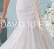 Orlando Bridal Warehouse Inspirational Bridal Gowns at the White Rose Bridal