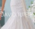 Orlando Bridal Warehouse Inspirational Bridal Gowns at the White Rose Bridal