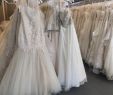 Orlando Wedding Dress Outlet Luxury Mother Of the Bride Dress Store In Appopka Fl – Fashion Dresses