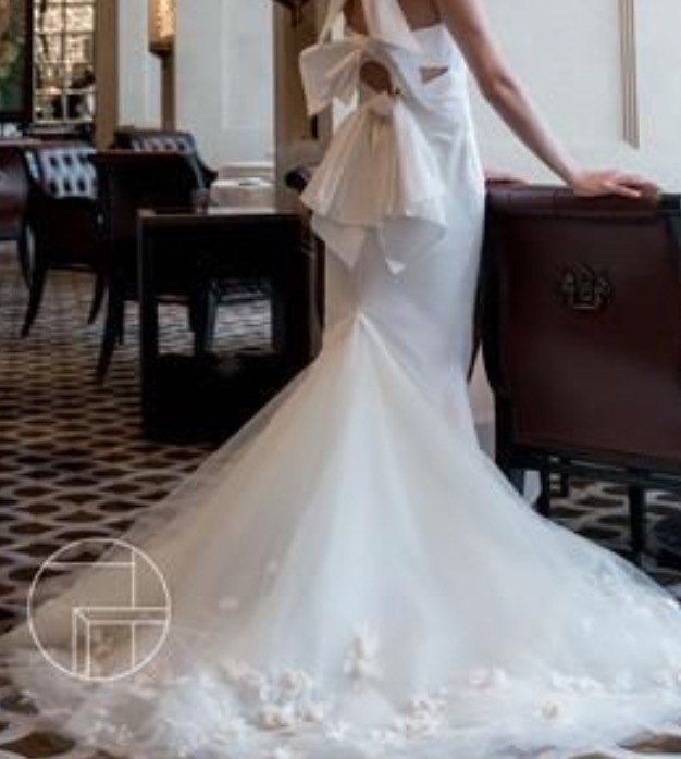 Overstock Wedding Dresses Elegant Vera Wang Nisha Ivory Sample Unaltered Unworn Wedding Dress Sale F