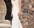 Palomablanca Wedding Dresses Fresh Contrasting Lace Wedding Dress Style 4747