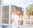 Peach Wedding Dresses Awesome Outdoor Jewish Wedding Ceremony at Stunning Ch¢teau In New