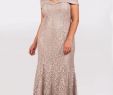Plus Size Dresses to Wear to A Wedding New Grandmother Of the Bride Dresses