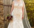 Plus Size Fall Dresses for A Wedding Lovely Plus Size Wedding Dress Available at the Bridal Boutique by