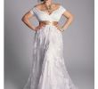 Plus Size Silver Wedding Dresses Lovely Eugenia Vintage Wedding Gown