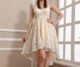 Plus Size Wedding Dresses Under $100 Awesome Lace Short Beige Dress – Fashion Dresses