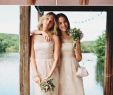 Plus Size Wedding Dresses Under $100 Best Of 2724 Best Te Bukura Images