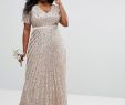 Plus Size Wedding Guest Dresses Unique Maya Plus Sequin All Over Maxi Dress