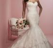 Private Collection Wedding Dresses Best Of the Gown Private Collection