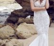 Pronovias New York Best Of Anna Campbell Wedding Dresses — Spirit Bridal Collection