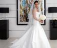 Pronovias Wedding Dresses 2016 Best Of Pronovias Balar Size 8
