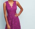 Purple Dresses for Wedding Guest Lovely Daisy Lace Dress Duds