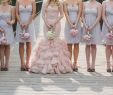 Rose Pink Wedding Dress Awesome Glamorous Mountain Wedding with A Blush Wedding Dress