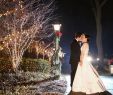 Ross Wedding Dresses Elegant Christmas theme Wedding with Festive Red & Green Décor In