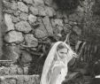 Saks Fifth Ave Wedding Dresses Elegant 36 Best Runway Images
