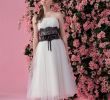 Short Coloured Wedding Dresses Inspirational Black Lace Belt & Short Wedding Dress