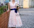 Short Wedding Reception Dress New Short Blush Wedding Dress From Alencon Lace with Knee Length A Line Skirt