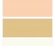 Simplybridal Lovely Sage Peach Gold and Ivory Wedding Color Palette Custom