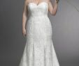 Super Plus Size Wedding Dresses Best Of Plus Size Wedding Dresses Bridal Gowns Wedding Gowns