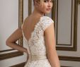Tea Length Lace Wedding Dress New Style 8815 Vintage Inspired Champagne Tulle Tea Length