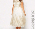 Tea Length Wedding Dress Plus Size Elegant Pin On Dresses