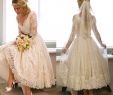 Tea Length Wedding Dresses Plus Size Unique 30 Plus Size Tea Length Wedding Gowns