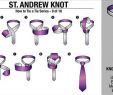Tie the Knot Elegant St andrew Tie