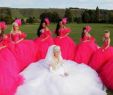 Traveller Wedding Dresses Fresh Loads Of Bridesmaids Blogging