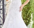 Trumpet Wedding Gown Awesome Tip Of the Shoulder Beaded and Embroidered Schiffli Lace