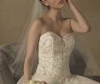 Trying On Wedding Dresses Lovely Can Try On at Alfred Angelo Wedding Dress Ideas