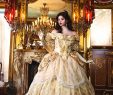 Victorian Wedding Dresses for Sale Best Of Me Val Wedding Gowns Marie Antoinette Gowns Gothic