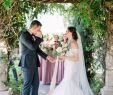 Vineyard Wedding Dresses New 25 Emotional Wedding Ideas to Consider
