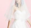 Wedding Dresses and Veil Elegant Veils