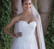 Wedding Dresses and Veils Awesome Style 4034v Cut Edge Cathedral Veil