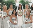 Wedding Dresses Beverly Hills Inspirational Elegant Garden Wedding In Beverly Hills California Inside