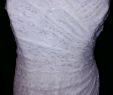 Wedding Dresses Chattanooga Inspirational Wedding Dress with Matching Veil