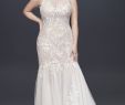 Wedding Dresses Dc Luxury Blooming Applique Plus Size Wedding Dress Style 8ms