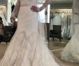 Wedding Dresses for 50 Best Of Allure Bridals 8970 Size 8