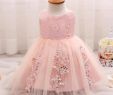 Wedding Dresses for Baby Girls Best Of Baby Girls Flower Sequins Dresses Newborn Baby Clothes Pink