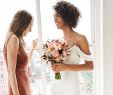 Wedding Dresses for Brides Over 60 Elegant the Wedding Suite Bridal Shop