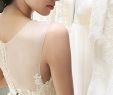 Wedding Dresses fort Wayne Luxury Bridesmaid Dresses & Wedding Dresses