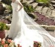 Wedding Dresses Fresno Luxury Pronovias Fresno Size 8