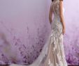 Wedding Dresses Gainesville Fl Beautiful Allure Romance 3108 Size 6